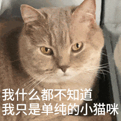 只剩一个低级囊胚，该移植还是攒胚胎？