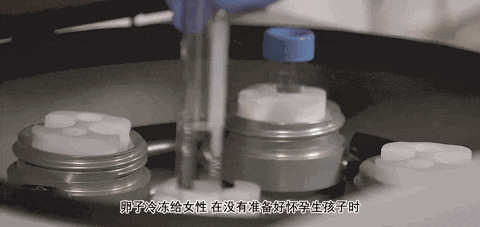 原来冻卵是不是"后悔药"取决于这个因素！