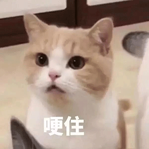 DƬ