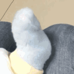 Ͷ�ҵ綯��Ħ�γ����ˣ�һŮ�Ӱ�Ħ�����б���ס�ˡ�