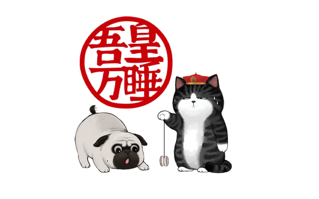 猫狗双全的我,却享受到了孤独的滋味-微信头条网 猫狗双全的我,却享受到了孤独的滋味