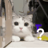 tdp神灯怎么用在中医理疗中，“神灯”到底有多神？_https://www.jmylbn.com_新闻资讯_第4张