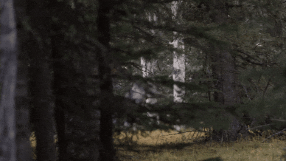 图片[19]-刚刚，国产视频模型登顶全球第一！给谷歌Veo上了一课，还把钱给挣了-AI Express News