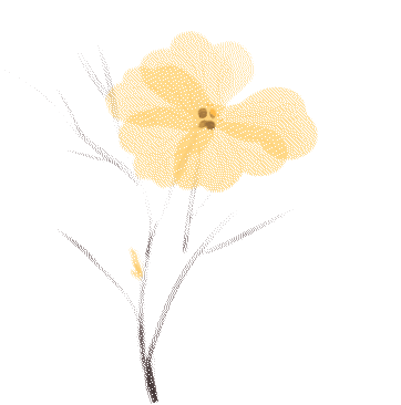 牙科材料硅胶怎么用【口腔科普】“小小咬胶”却是隐形矫治的助力神器！_https://www.jmylbn.com_新闻资讯_第5张