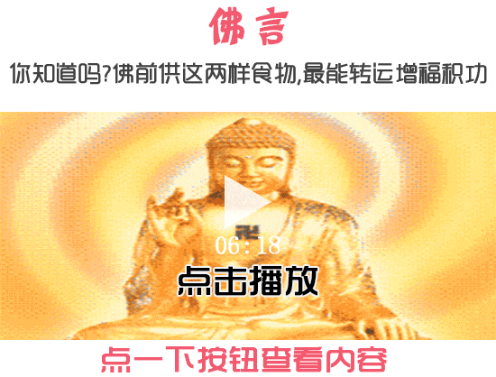 马蓉公开表白张杰,怀孕中的谢娜替王宝强出了口气!