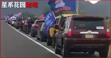 FBI承认调查拜登！川普支持者猛增，彻底扭转摇摆州的战局（视频/组图） - 9
