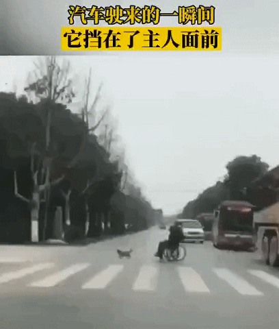 2020年还剩最后一个月：撑不下去的时候，看看这20张图片(图9)