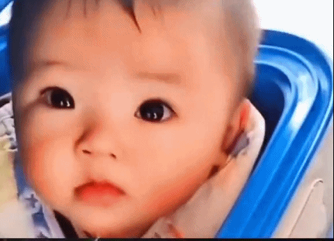 2020年还剩最后一个月：撑不下去的时候，看看这20张图片(图8)