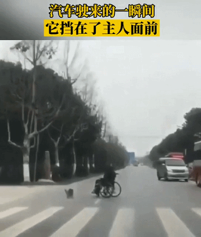 2020年还剩最后一个月：撑不下去的时候，看看这20张图片(图10)