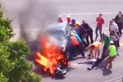 2020年还剩最后一个月：撑不下去的时候，看看这20张图片(图16)