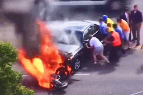 2020年还剩最后一个月：撑不下去的时候，看看这20张图片(图15)