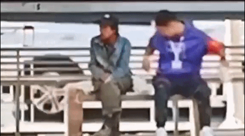 2020年还剩最后一个月：撑不下去的时候，看看这20张图片(图11)