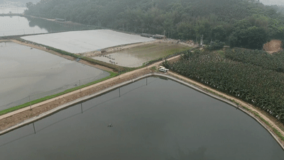 对生态环境带来不良影响,近年来很多鱼塘承包户纷纷关停了畜禽养殖场