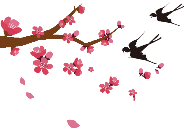 教您识中药：发汗解表第一药——麻黄