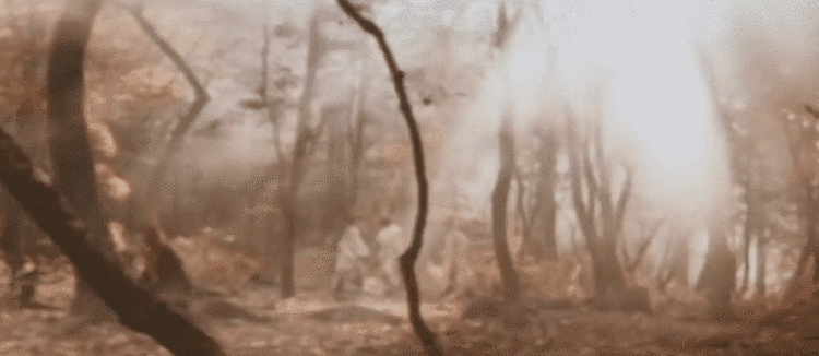 DG4000怎么用城市青商【长沙】｜ 0523：4000亿市场，小龙虾为什么还在火；比烂片更可怕的，是烂片重映_https://www.jmylbn.com_新闻资讯_第16张