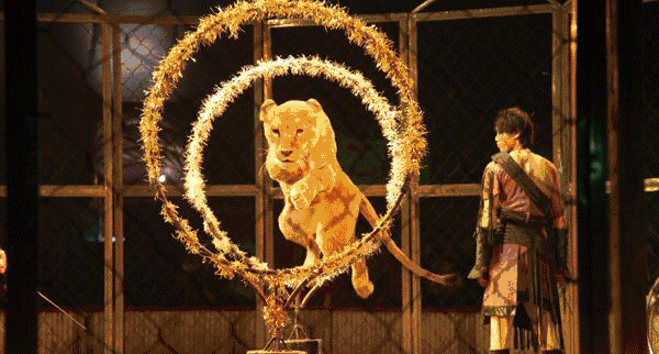 马戏团空降聊城月季公园萌宠猛兽杂技表演震撼来袭