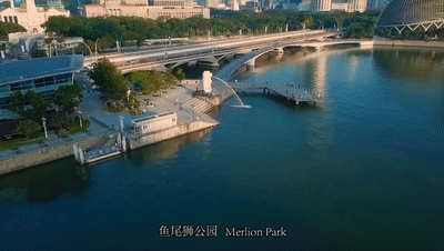 新加坡移民 | 2020年楹进带你全方位了解新加坡