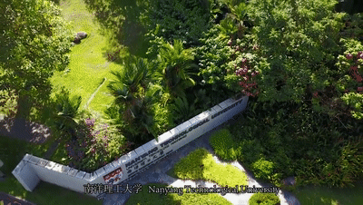 新加坡移民 | 2020年楹进带你全方位了解新加坡