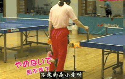 跟拍福原爱24年，这部高分纪录片道出了“天才教育”的本质