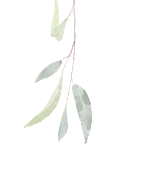 相机afc怎么调摄影干货 ｜ 相机调参数顺序是什么？别再搞错啦_https://www.jmylbn.com_新闻资讯_第10张