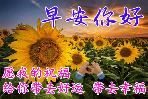 今天最新早上好问候语，祝大家平安、健康、快乐、吉祥！(今天早上好的问候问候语简短)