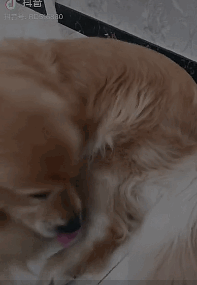 抖音如何拍片段视频_抖音拍视频赚钱吗_求抖音小孩拍妈妈换衣服视频