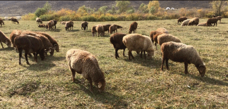 �����ˣ������᲻������©����ů������