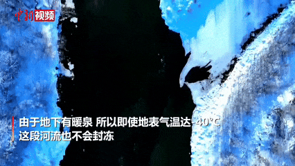 1月15日(1).gif