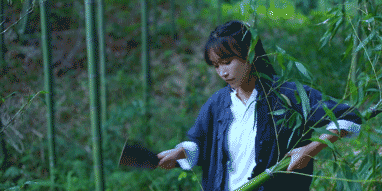 当李子柒并肩袁隆平，我才读懂这个女孩有多可怕（组图） - 52