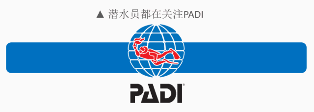 即將有一場海洋沉浸式體驗互動展在上海舉辦