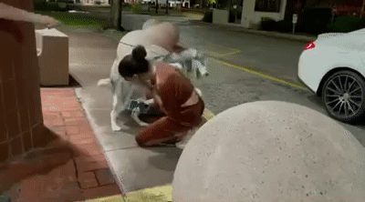 狗狗走失一周后自己跑回家，全家人看到它时的反应...这也太好哭了！
