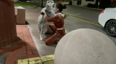 狗狗走失一周后自己跑回家，全家人看到它时的反应...这也太好哭了！