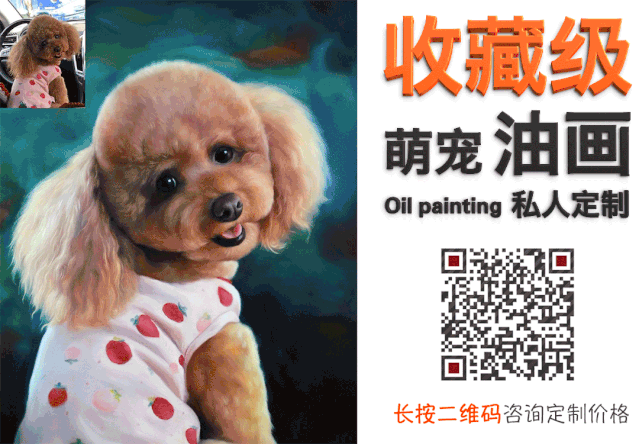 捡到了一具骷髅怪 当大家都觉得它不可能活下去时 奇迹出现了 萌宠 训练养宠技巧 宠物用品 微信头条新闻公众号文章收集网