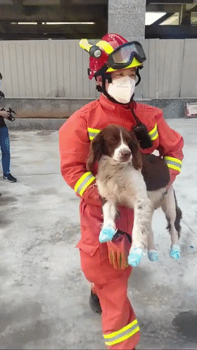 Q Tbn 3aand9gcqrjfo Zykxqb29pmgjt22ourvo9zf2ohsf7a Usqp Cau