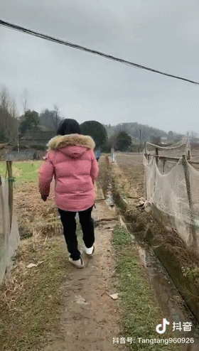 狗子突然瘸了,紧急送医后花了两千多,可医生:它是装的...-微信头条网 狗子突然瘸了,紧急送医后花了两千多,可医生:它是装的...