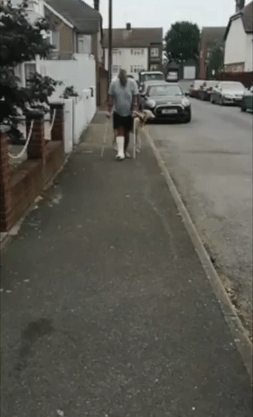 狗子突然瘸了,紧急送医后花了两千多,可医生:它是装的...-微信头条网 狗子突然瘸了,紧急送医后花了两千多,可医生:它是装的...