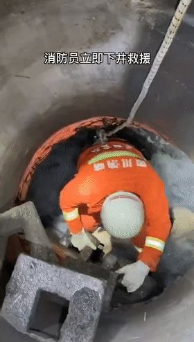 狗狗获救后，竟还回头想拉一把救了自己的消防员...超暖心！