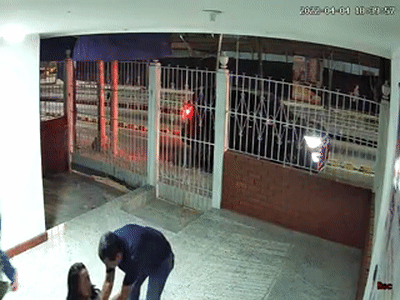 狗狗走失一周后自己跑回家，全家人看到它时的反应...这也太好哭了！