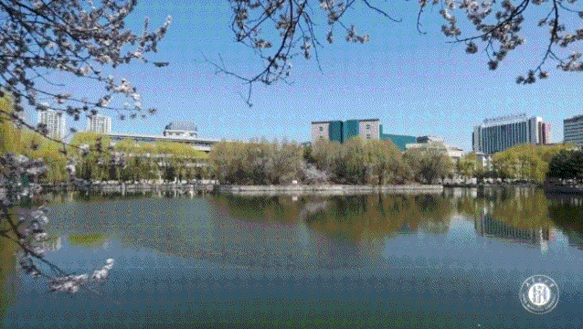 内蒙古大学请收下来自老师们的特别返校礼物