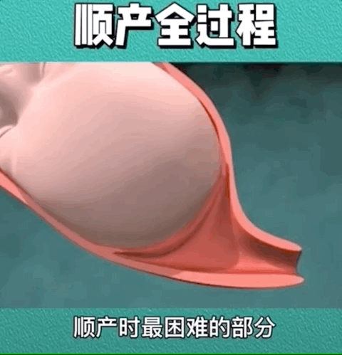 “在产房散步阴道里滴着血；我的8张私密裸照， 被老公发在了朋友圈！”做一个产妇真的太难了…（视频/组图） - 29