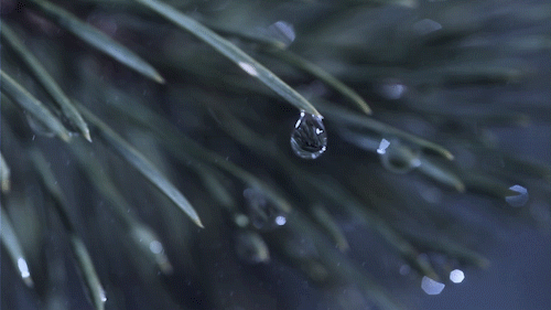 樸術 ┃ VOL.2 Mars Fall