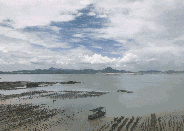 渔夫寻宝系列_渔夫寻宝_渔夫寻宝TXT小说免费下载