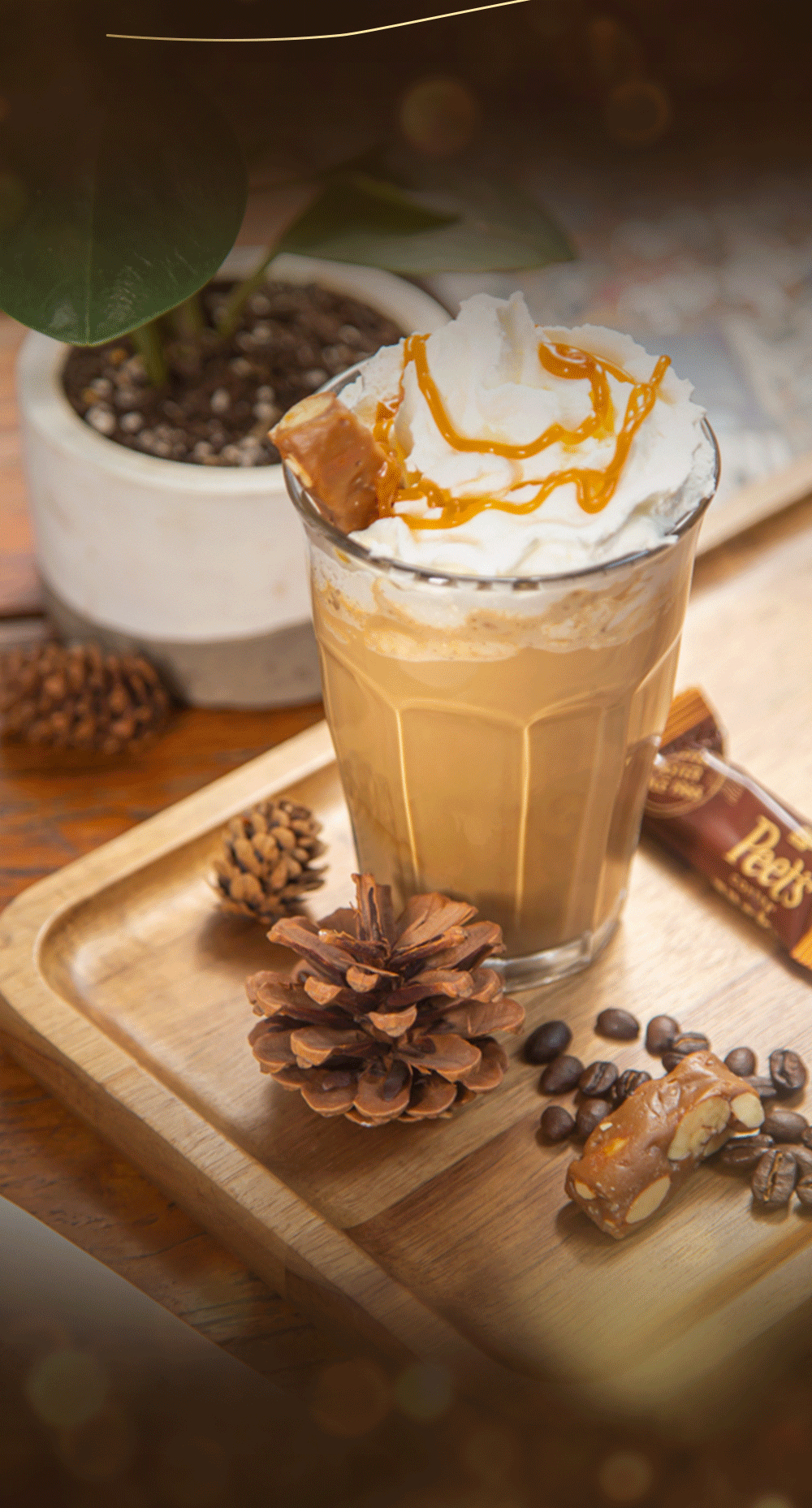 错过等1年皮爷冬季限定holiday新品拿铁来啦