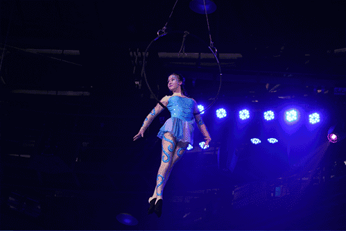 499_333gif 动态图 动图