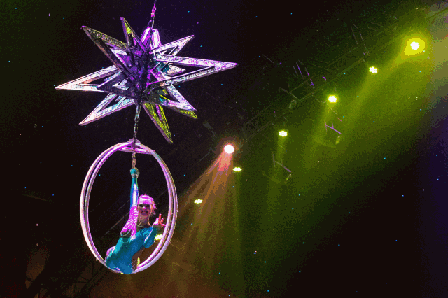 马戏团空降聊城月季公园萌宠猛兽杂技表演震撼来袭