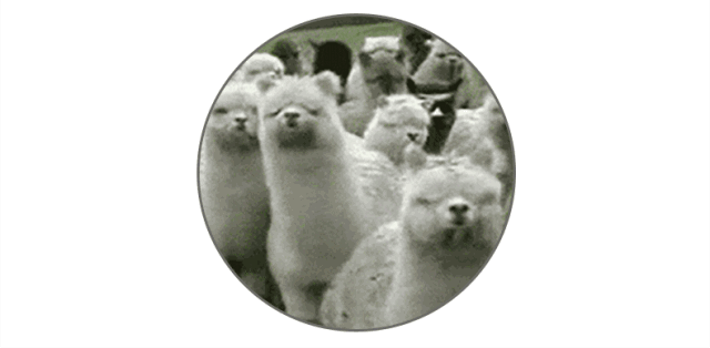 都贵玛 草原母亲 大爱无疆 功勋 暴走漫画微信公众号文章