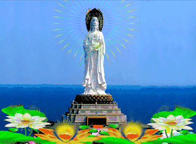 400_294gif 动态图 动图
