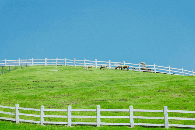 慕思床属于什么档次_慕思床价位_床垫哪种好品牌慕思床垫