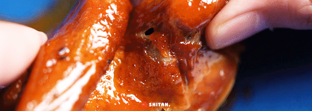 �������ˣ�ȫ���ڶ��ң������ڣ�