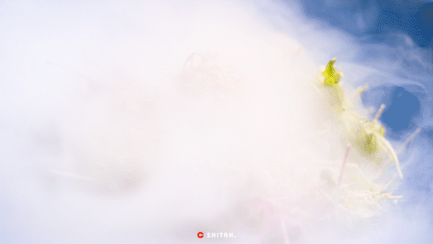 �������ˣ�ȫ���ڶ��ң������ڣ�